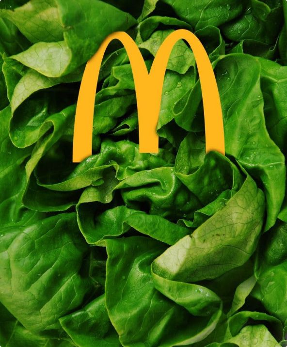 Img Hero Ves Kaj Jes