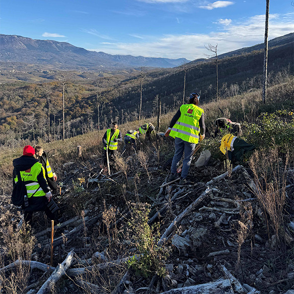 Prostovoljci na delu 592