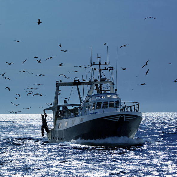 Kajjenotristeje 592x592 Morje Copy