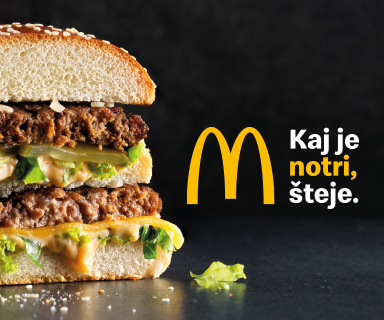 W   Kaj Je Notri Steje 384x320